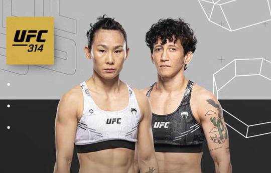UFC 314: Ян против Яндиробы - дата, время начала, андеркард, место проведения