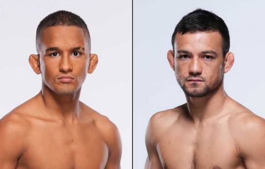 UFC Fight Night 261 - Wettquoten, Vorhersage: Rocha gegen Nicoll