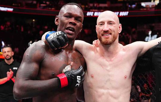 Адесанья прокоментував поразку Пайферу