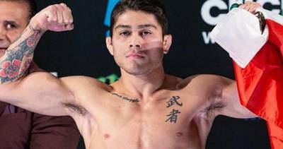 UFC Fight Night 253 - Betting Odds, Prediction: Silva de Andrade vs Castaneda