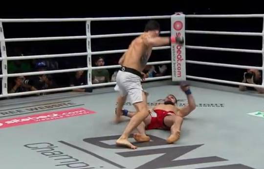 Yusup Saadulaev lost to Thanh Le by a crushing knockout (video)