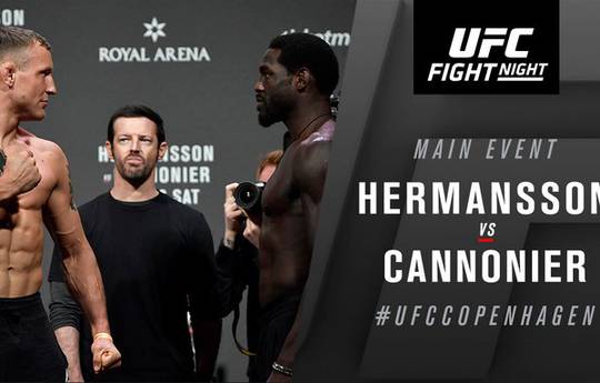 UFC Fight Night 160: Cannonier defeats Hermansson and other results