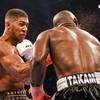 Fight night: Anthony Joshua