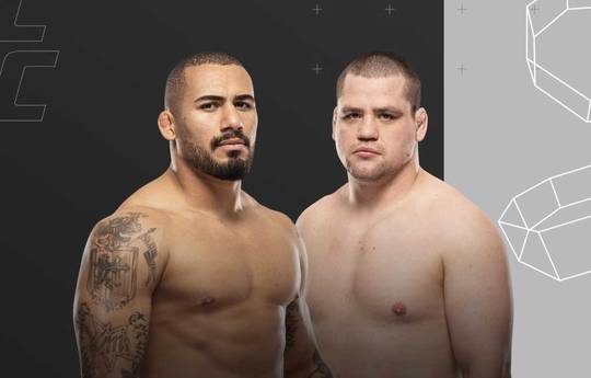 UFC Fight Night 261: Petrino vs Petersen - Date, Start time, Fight Card, Location