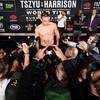 Tszyu and Harrison weigh in 12