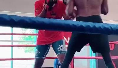 Wilder showed how he works on his paws (video)