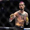 Whittaker erwartet mit Spannung den Kampf zwischen Dvalishvili und O`Malley