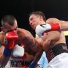 Golovkin Knocks Out Martirosyan (video)