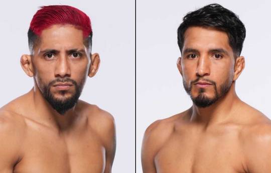 UFC on ESPN 63: Yanez vs Marcos - Datum, Startzeit, Kampfkarte, Ort