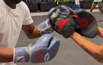 Mayweather showed how to work on the paws (video)