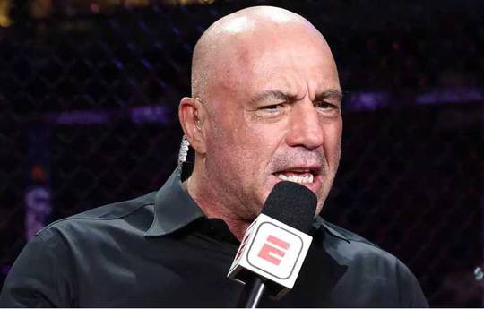 Rogan proposed changes to UFC heavyweight