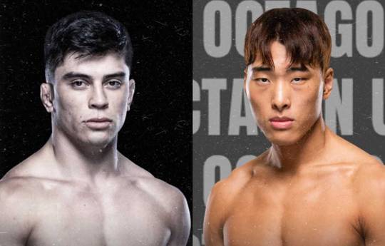 UFC Fight Night 254: Woo Choi vs Vallejos - Datum, aanvangstijd, vechtkaart, locatie