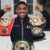 Joshua promises 'smart and wise' performance