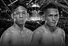 UFC Fight Night 256: Sung Park vs Hernandez - Date, Start time, Fight Card, Location