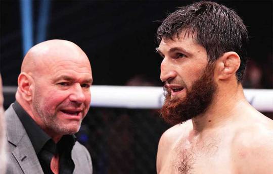 White gave Ankalaev advice on how to get a title fight