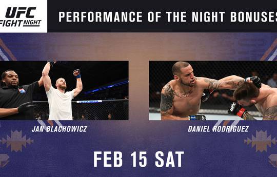 UFC Fight Night 167: бонусы турнира