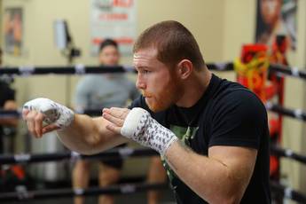 Canelo vs Fielding. Predictions and betting odds