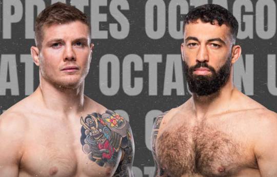 UFC Fight Night 254 - Wettquoten, Vorhersage: Vettori gegen Dolidze 2