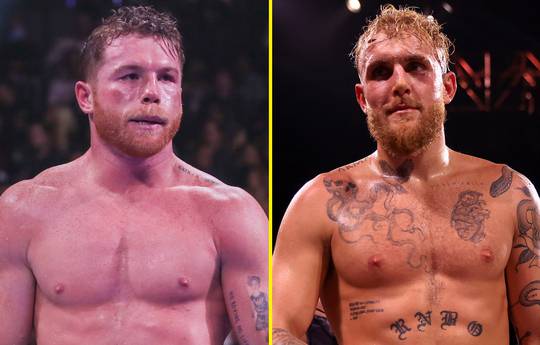 Wilder's trainer against Canelo's fight with Jake Paul: "YouTubers should fight YouTubers"