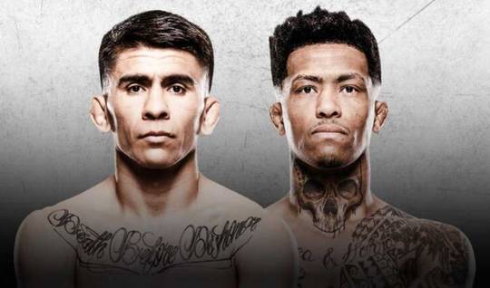 UFC Fight Night 266: watch online, links to broadcast