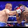 Adamek, Glowacki, Masternak victorious