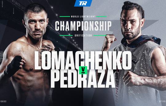 Vasyl Lomachenko vs Jose Pedraza. Highlights of the fight