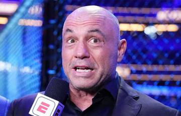 Rogan named the most feared puncher in mixed martial arts