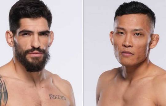 Wann ist UFC heute Abend auf ESPN 67? Bolanos vs Le - Startzeiten, Zeitpläne, Kampfkarte