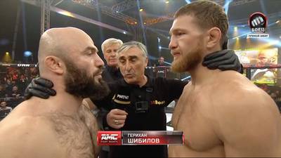 Mineev vs Ismailov 2: full fight video