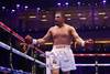 WBC не будет требовать боя Усик-Кабайел