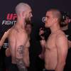 What time is UFC on ESPN 68 Tonight? Reese vs Todorovic - Start times, Schedules, Fight Card