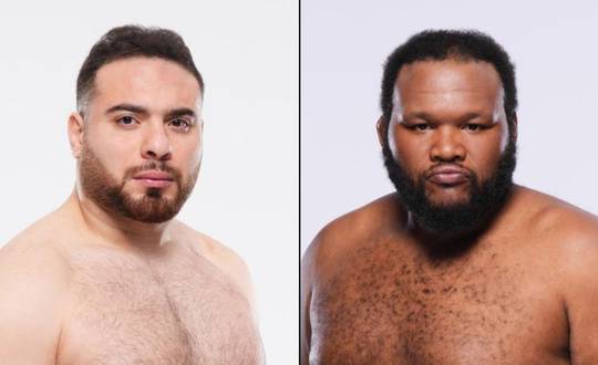 UFC 321 - Wettquoten, Vorhersage: Abdelwahab vs Barnett