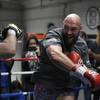 Fury is ready to finish career at the end of the year