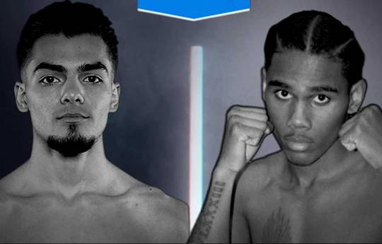 Cómo ver a Justin Cardona vs Elijah Williams - Transmisión en vivo y canales de TV