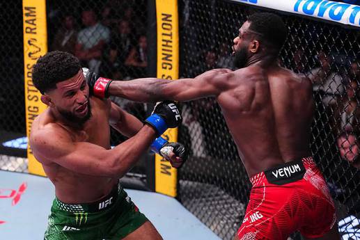 Результати турніру UFC Fight Night 274