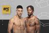 UFC 316 - Wettquoten, Vorhersage: Luque gegen Holland