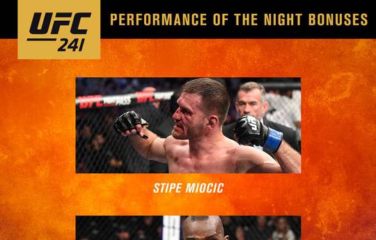 UFC 241: Bonuses of the evening