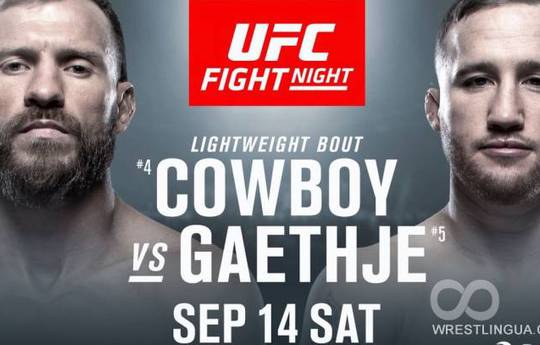 UFC Fight Night 158 Серроне vs Гэтжи: результаты турнира