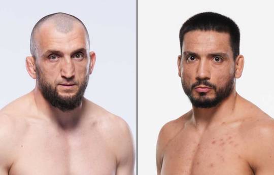 UFC on ABC 9: Salikhov vs Leal - Date, Start time, Fight Card, Location