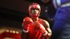 How to Watch Delante Johnson vs Janelson Bocachica - Live Stream & TV Channels