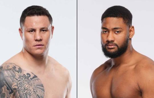 UFC Fight Night 261 - Betting Odds, Prediction: Diniz vs Pinto