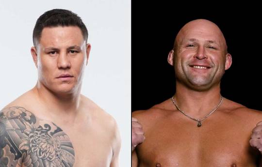 UFC 317 - Wettquoten, Vorhersage: Diniz gegen Hines
