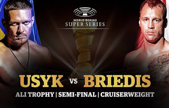 Usyk vs Briedis fight may happen on January 20