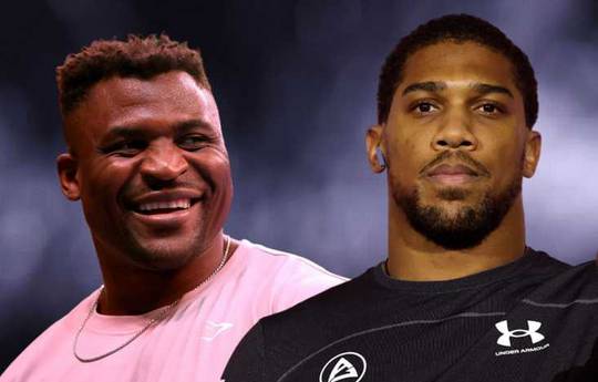 Ngannou suffered memory and vision loss after the first round of his fight with Joshua
