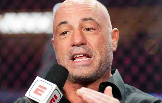 Роган: "Элита только в UFC"