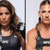 UFC 316 - Wedden Odds, Voorspelling: Pena vs Harrison