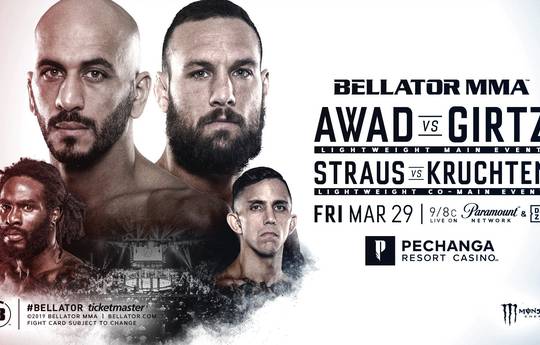 Результаты турнира Bellator 219