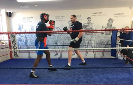 Tyson Fury spars Daniel Dubois as training continues