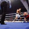 Results and photos of the undercard bouts in Brovary 3