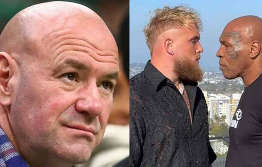 Dana White revealed how he feels about Tyson's fight with Paul